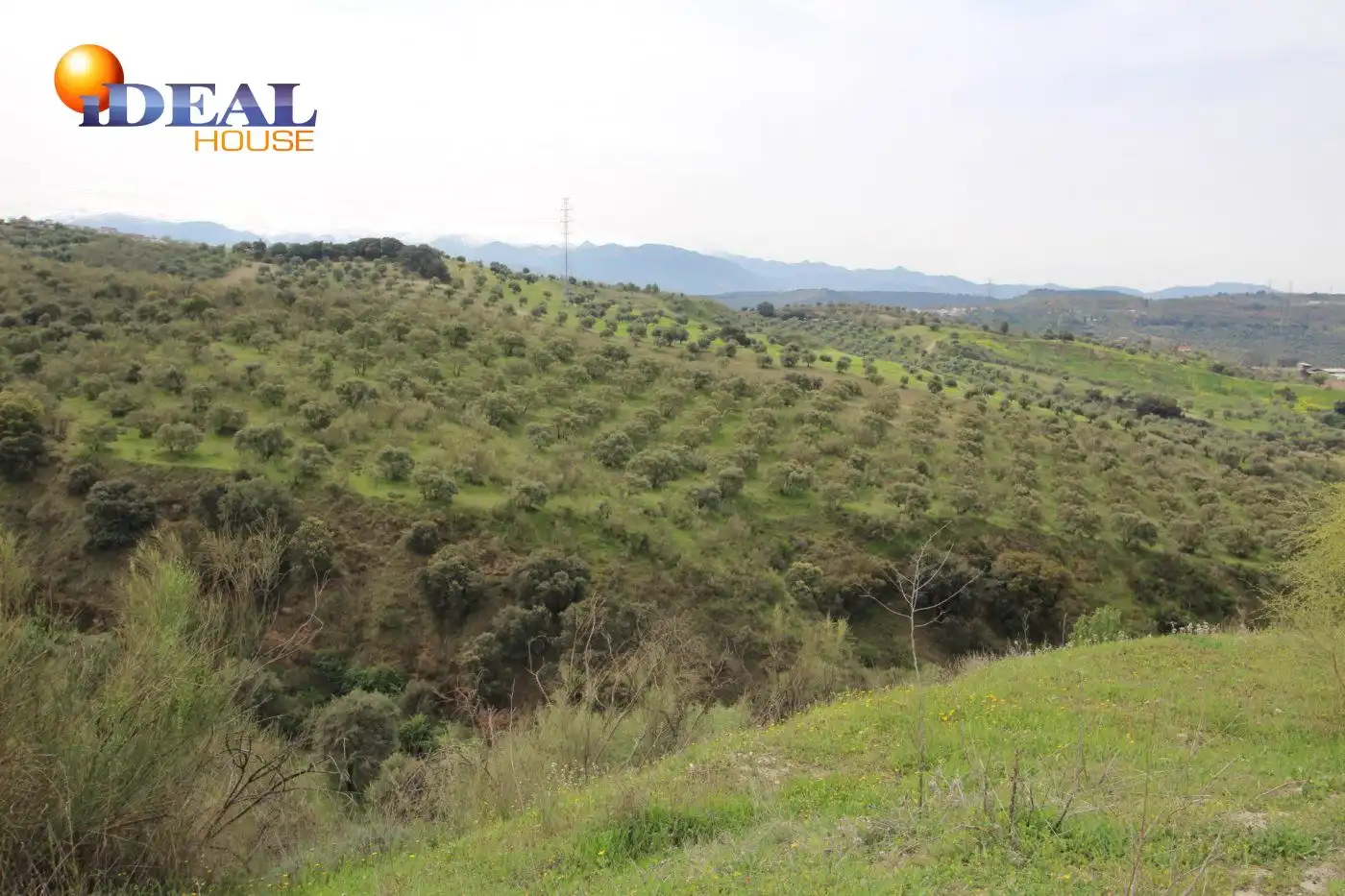 Country homes for sale in Víznar