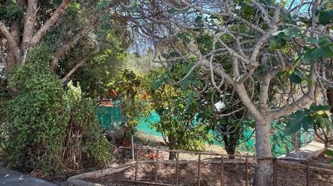 Foto 4 de Residencial en venda a Génova,  Palma de Mallorca