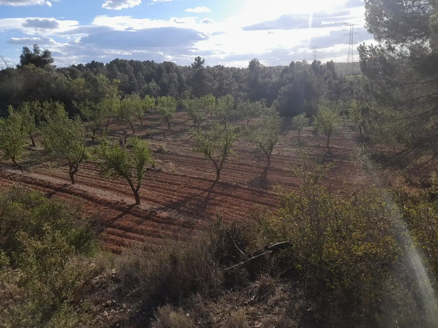 Terreno en venta en El Vilosell