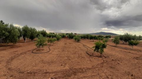 Foto 3 de Casa o xalet en venda a Don Benito, Badajoz