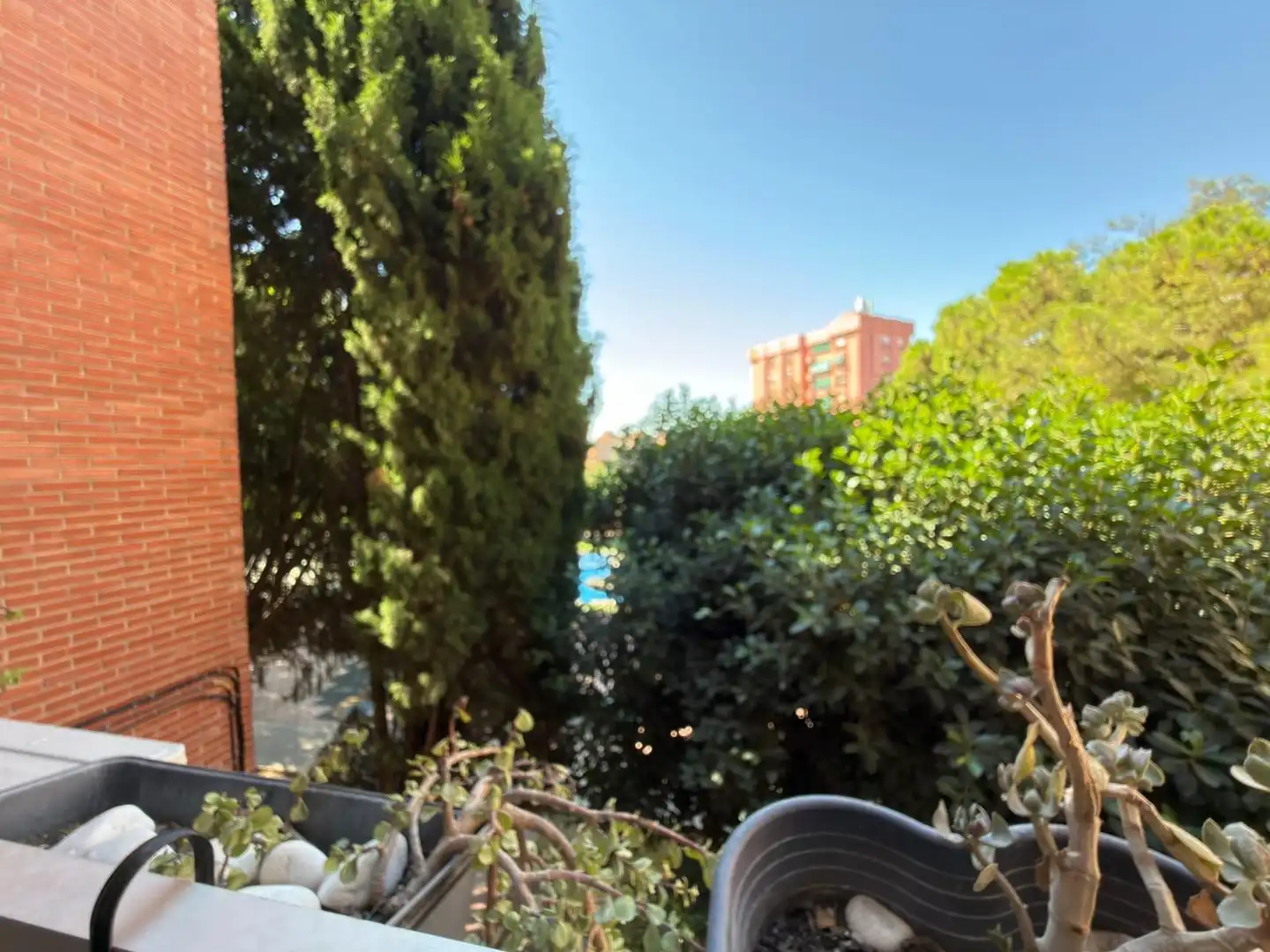 Garten von Wohnung zur Miete in San Blas