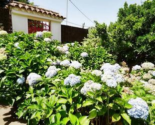 Jardí de Casa o xalet en venda en Valleseco amb Terrassa i Piscina