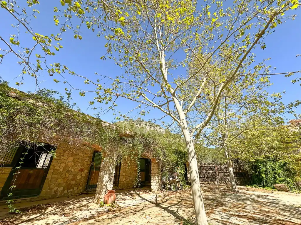 Maison à vendre à Poligono 3 Paraje 81 Pla De L'Horta, imagen 96