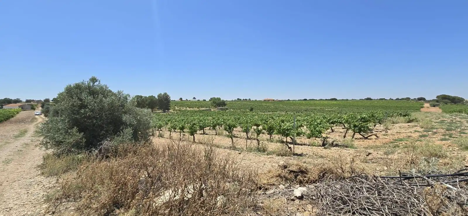 Casa rústica en venda a Villarrobledo, imagen 47