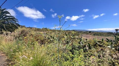 Foto 3 de Residencial en venda a El Pris - Juan Fernández, Tacoronte