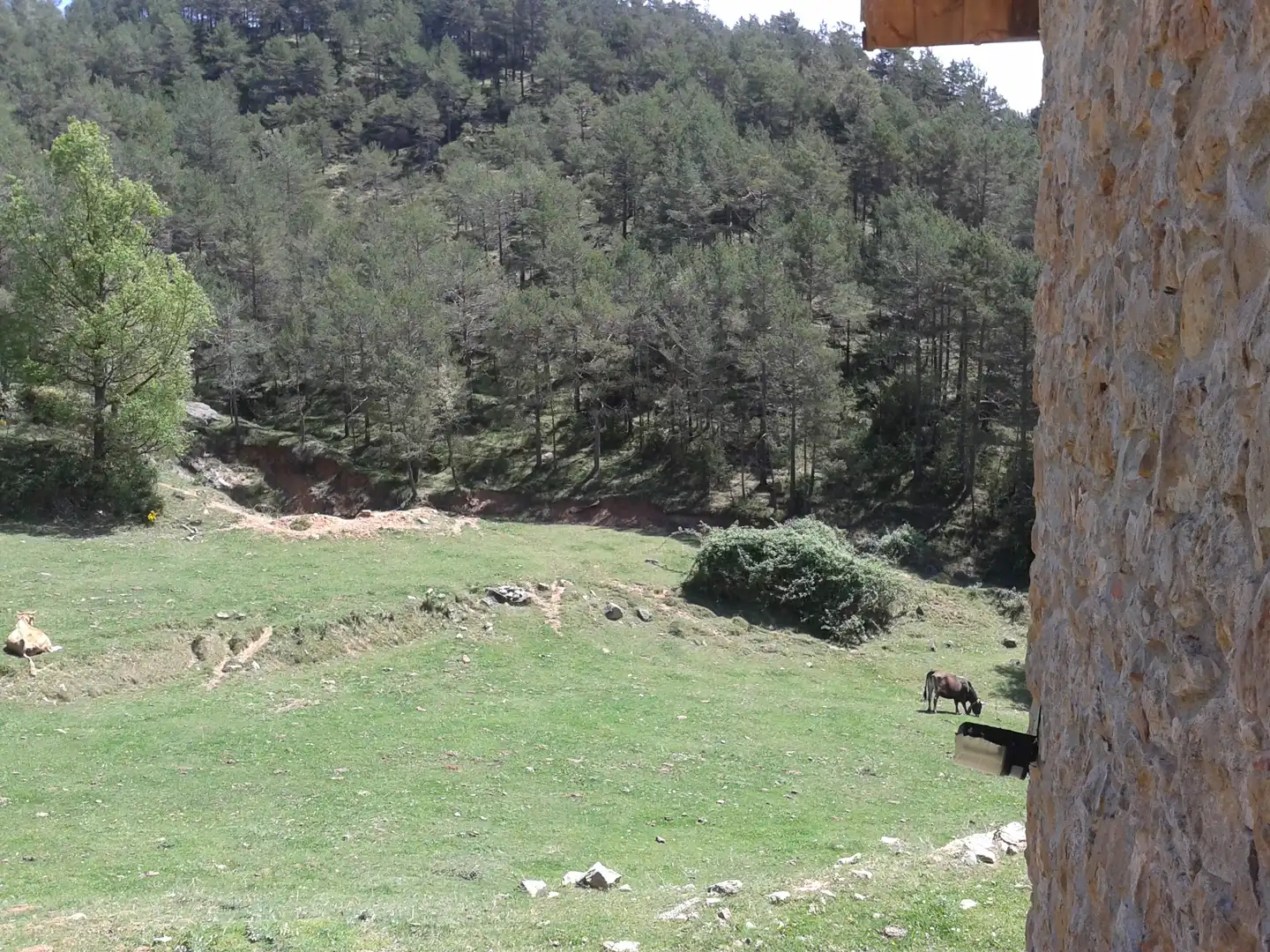 Finca rústica en venta en Ripoll