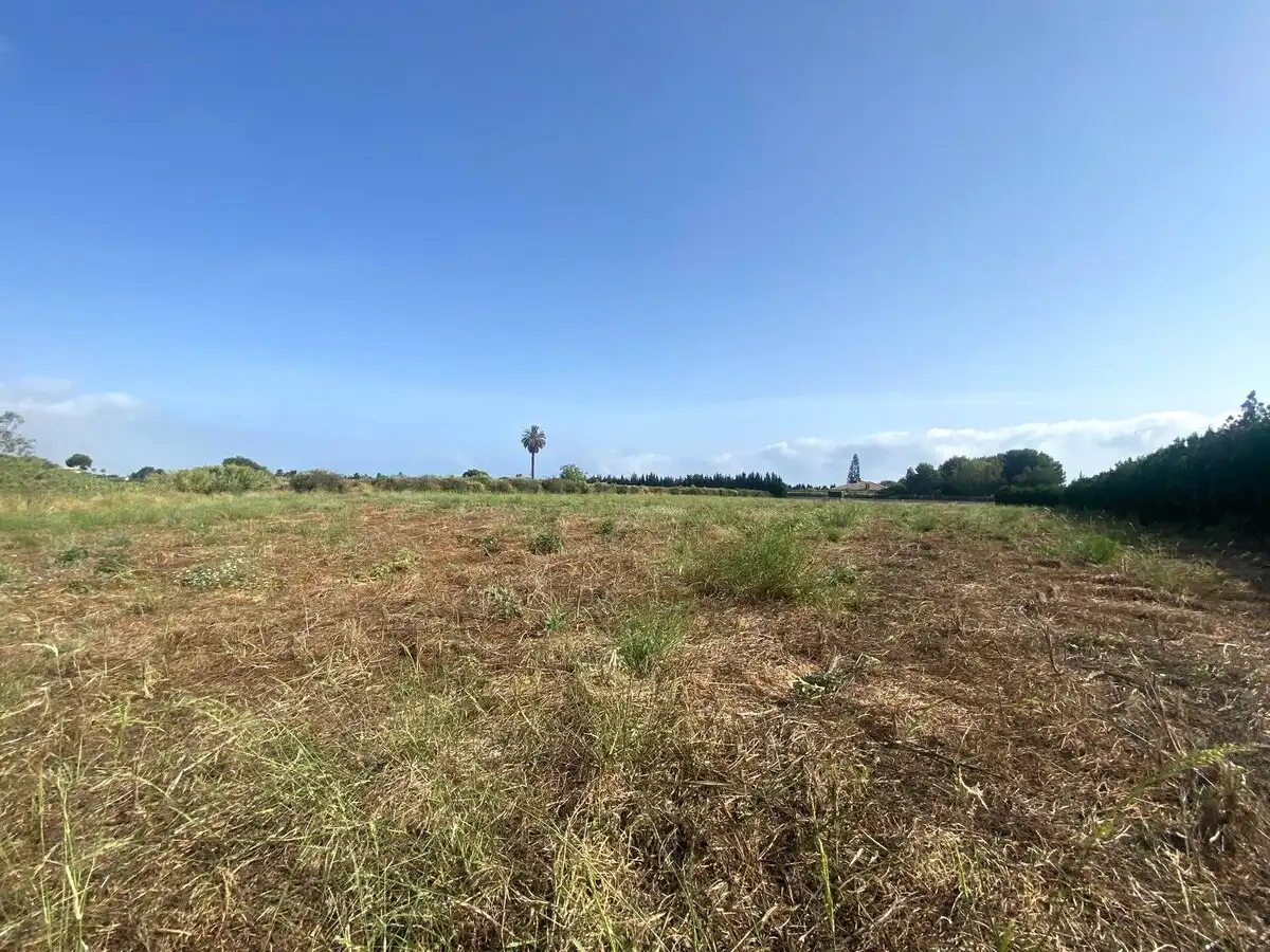 Lands and plots for sale in Els Poblets, imagen 8