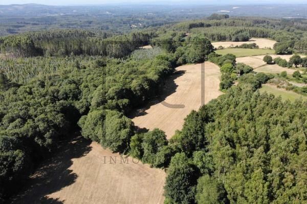 Casa o chalet en venta en Begonte con Jardín privado