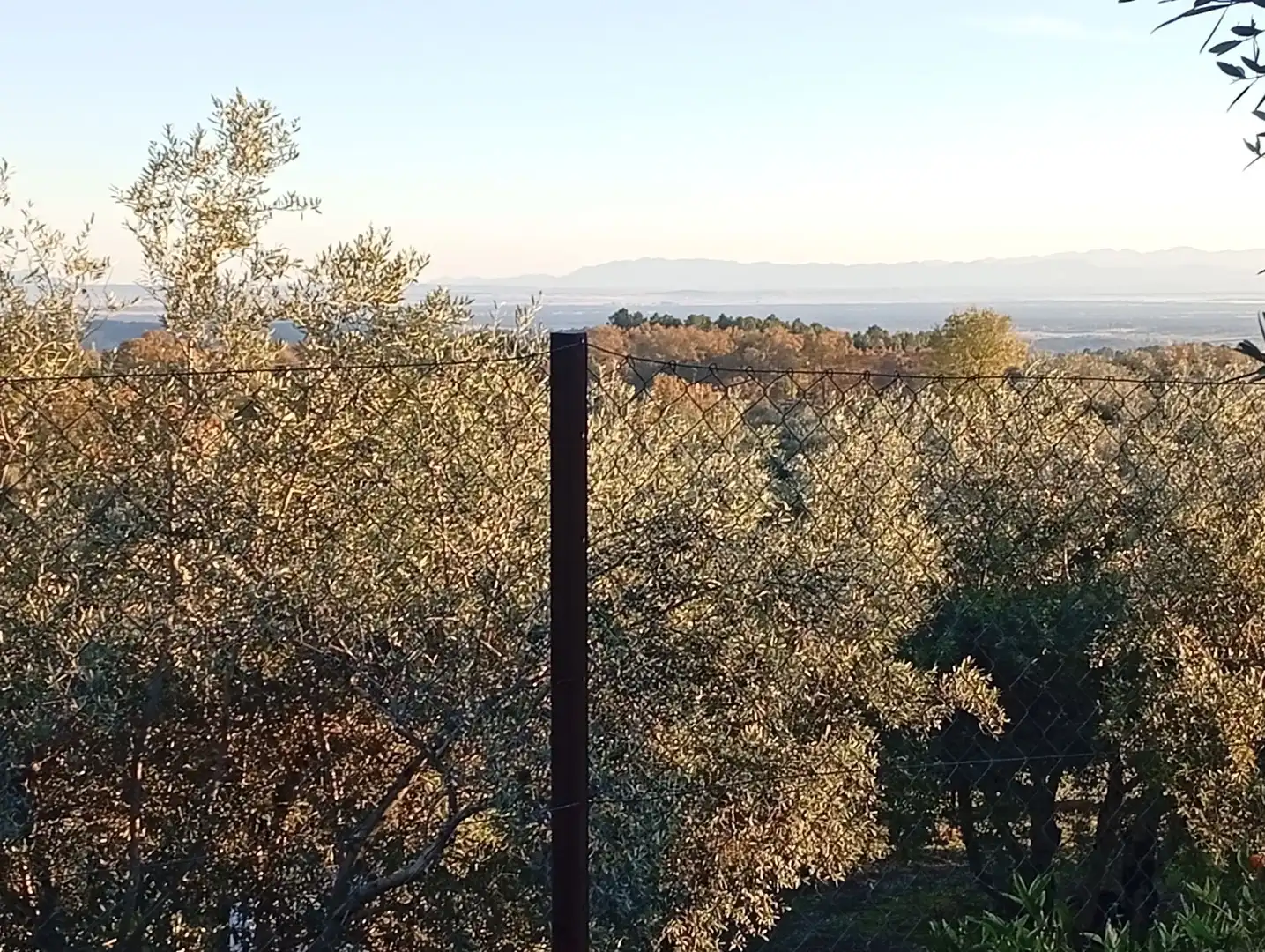 Terreni e lotti in vendita a Villanueva de la Vera, imagen 18