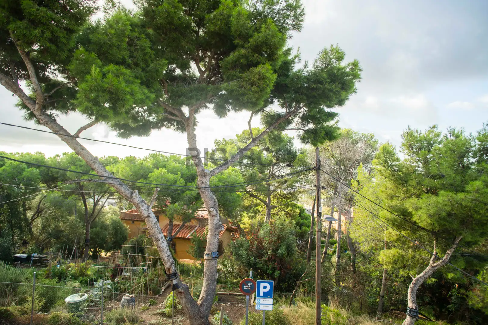 Vista exterior de Casa o chalet en venta en Esplugues de Llobregat con Aire acondicionado, Calefacción y Jardín privado