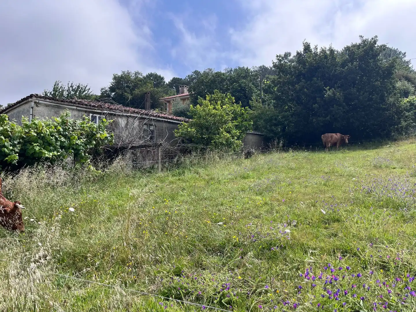 Finca rústica en venda a Vila de Cruces