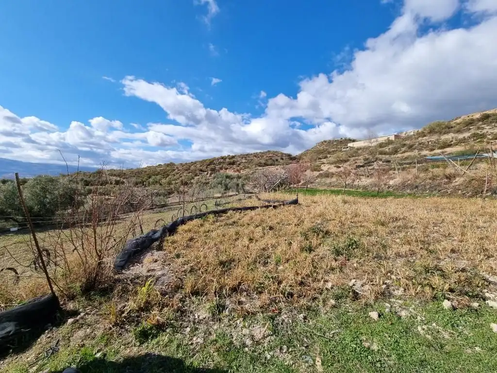 Terreni e lotti in vendita a Nevada, imagen 14