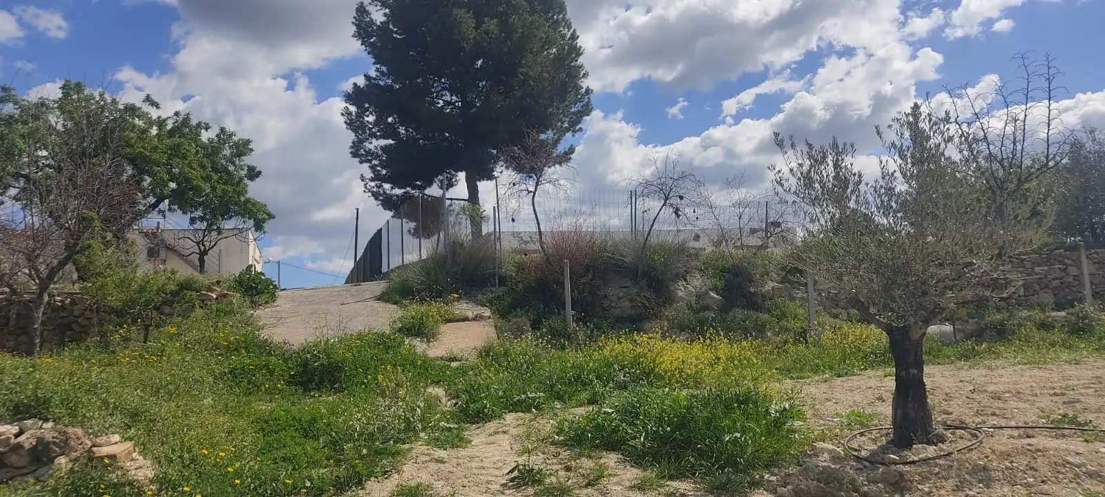 Terrenys i solars en venda a Barriada la Mela 18