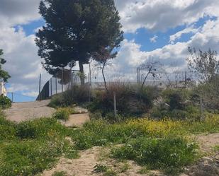 Land for sale in Sorbas
