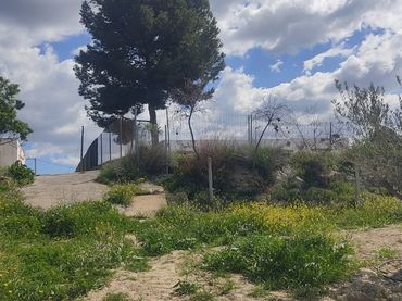 Terreno rústico en venta en Barriada la Mela 18