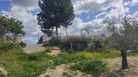 Immagine 1 dell'annuncio