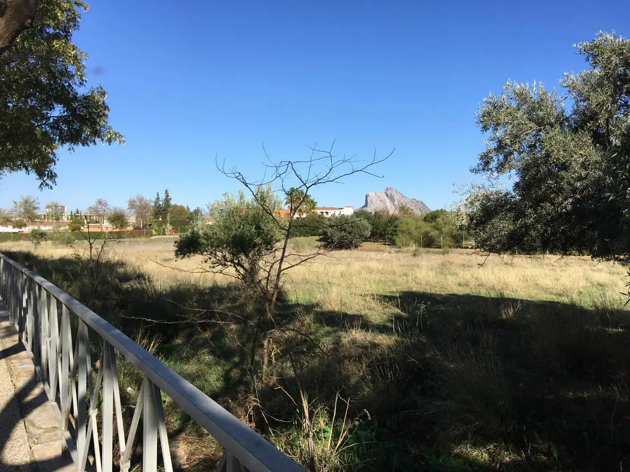 Lands and plots for sale in Poeta Muñoz Rojas, imagen 6