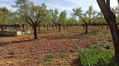 Foto 3 de Finca rústica en venda a Miguelturra, Ciudad Real