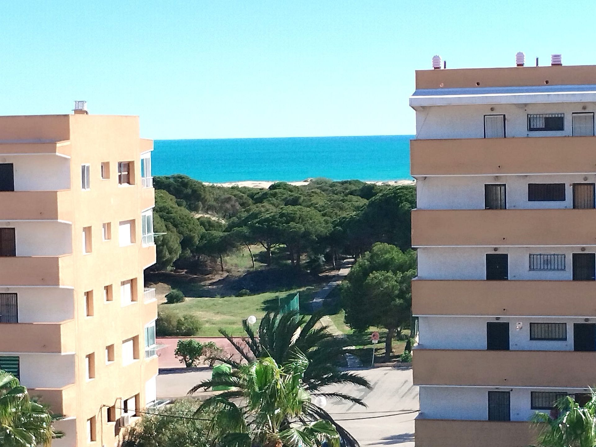 Exterior view of Apartment for sale in Guardamar del Segura  with Furnished and Community pool