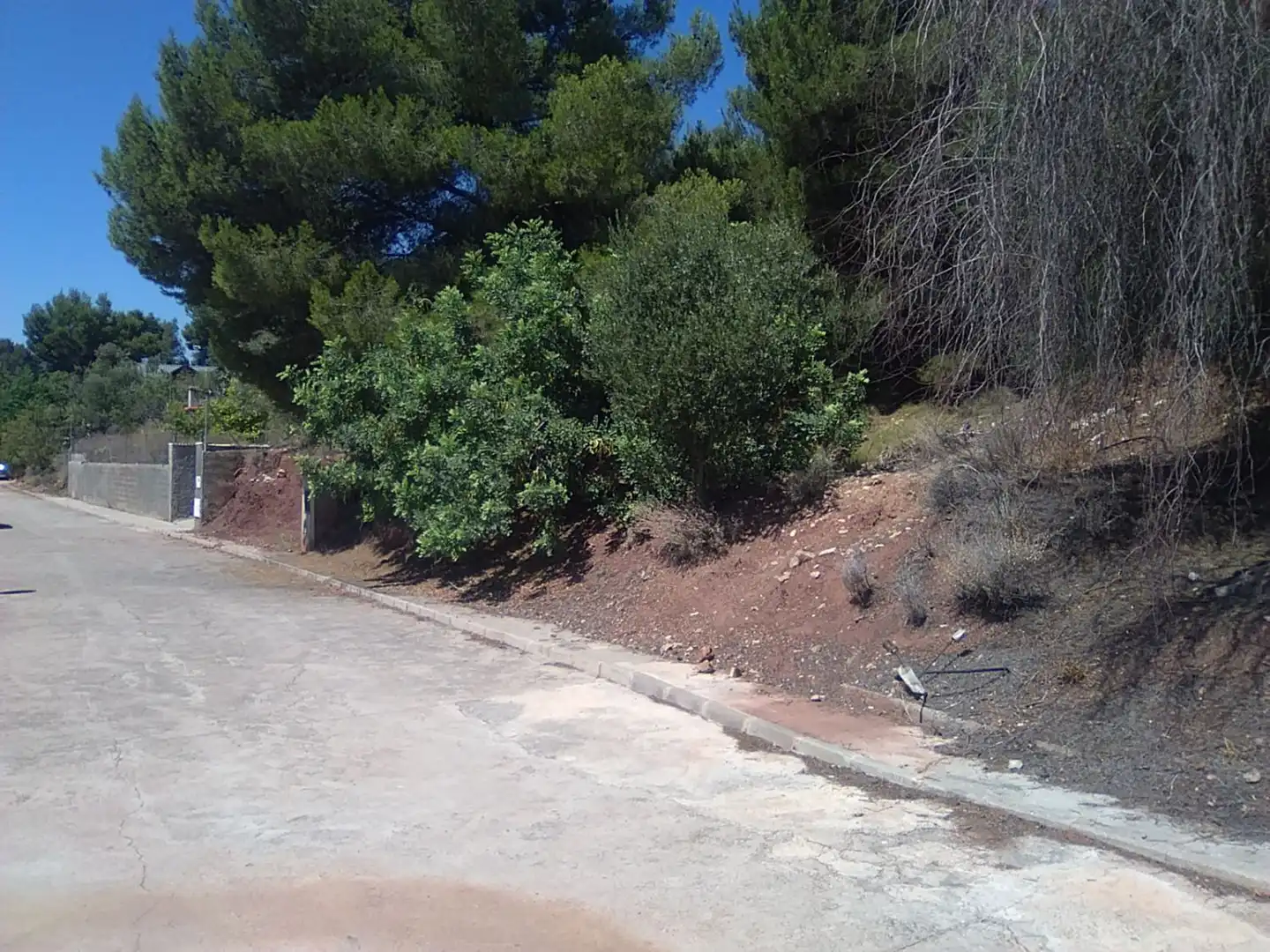 Rural land for sale in Torres Torres, imagen 4