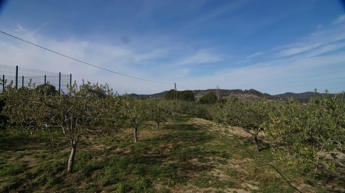 Country homes for sale in Falset  with Private garden
