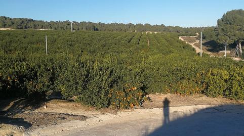 Photo 5 of Land for sale in N/a, -1, Paus - Poligono San Blas, Alicante