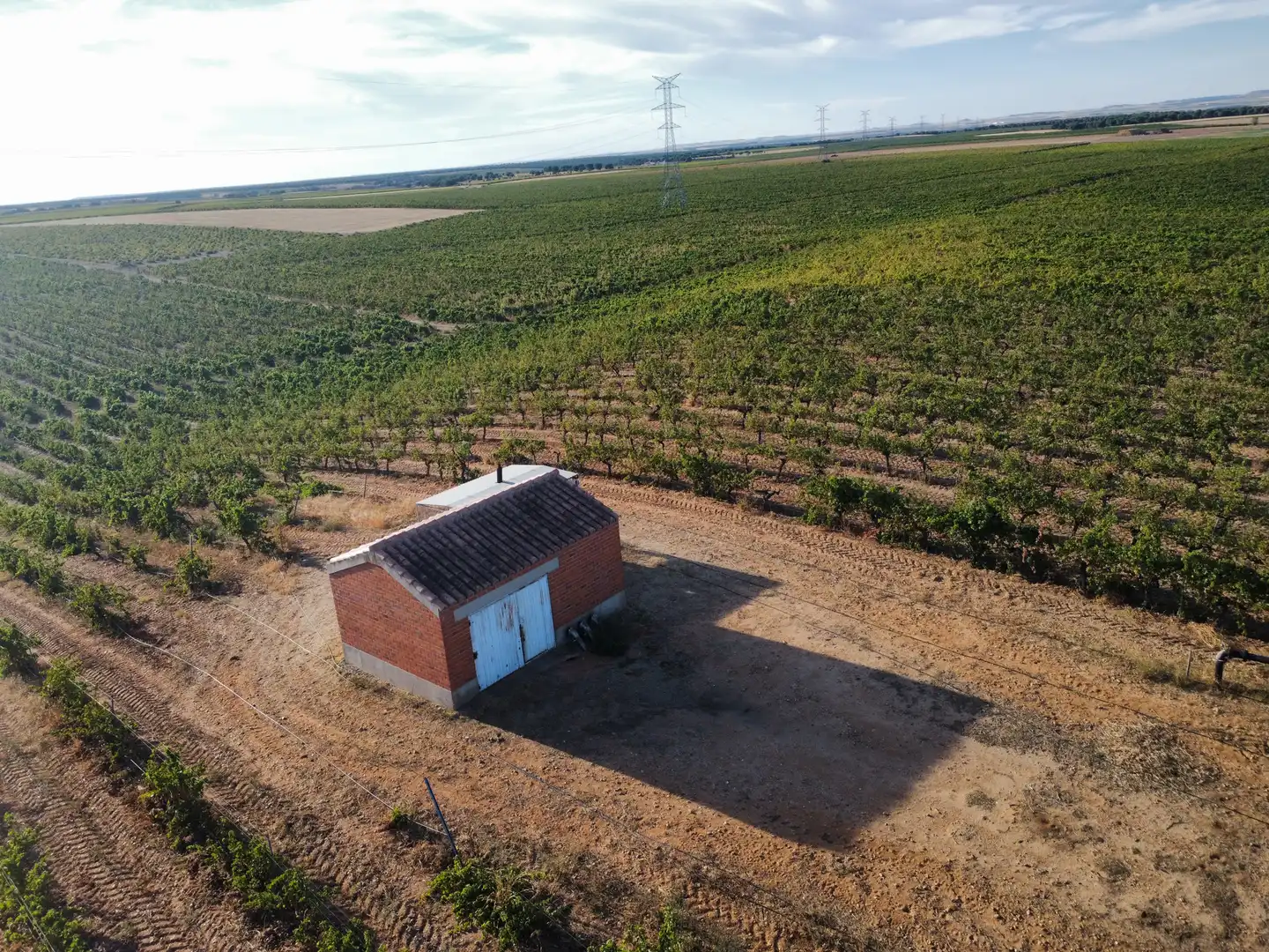 Terreno rustico in vendita a Rueda, imagen 3