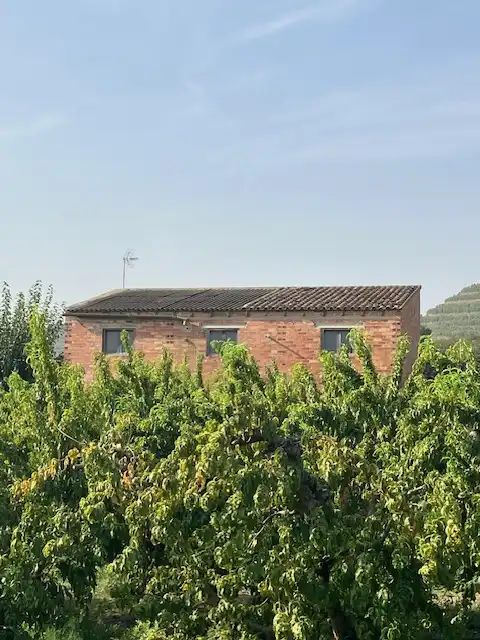 Terreni e lotti in vendita a Avenida del Camino de los Hondos, imagen 6
