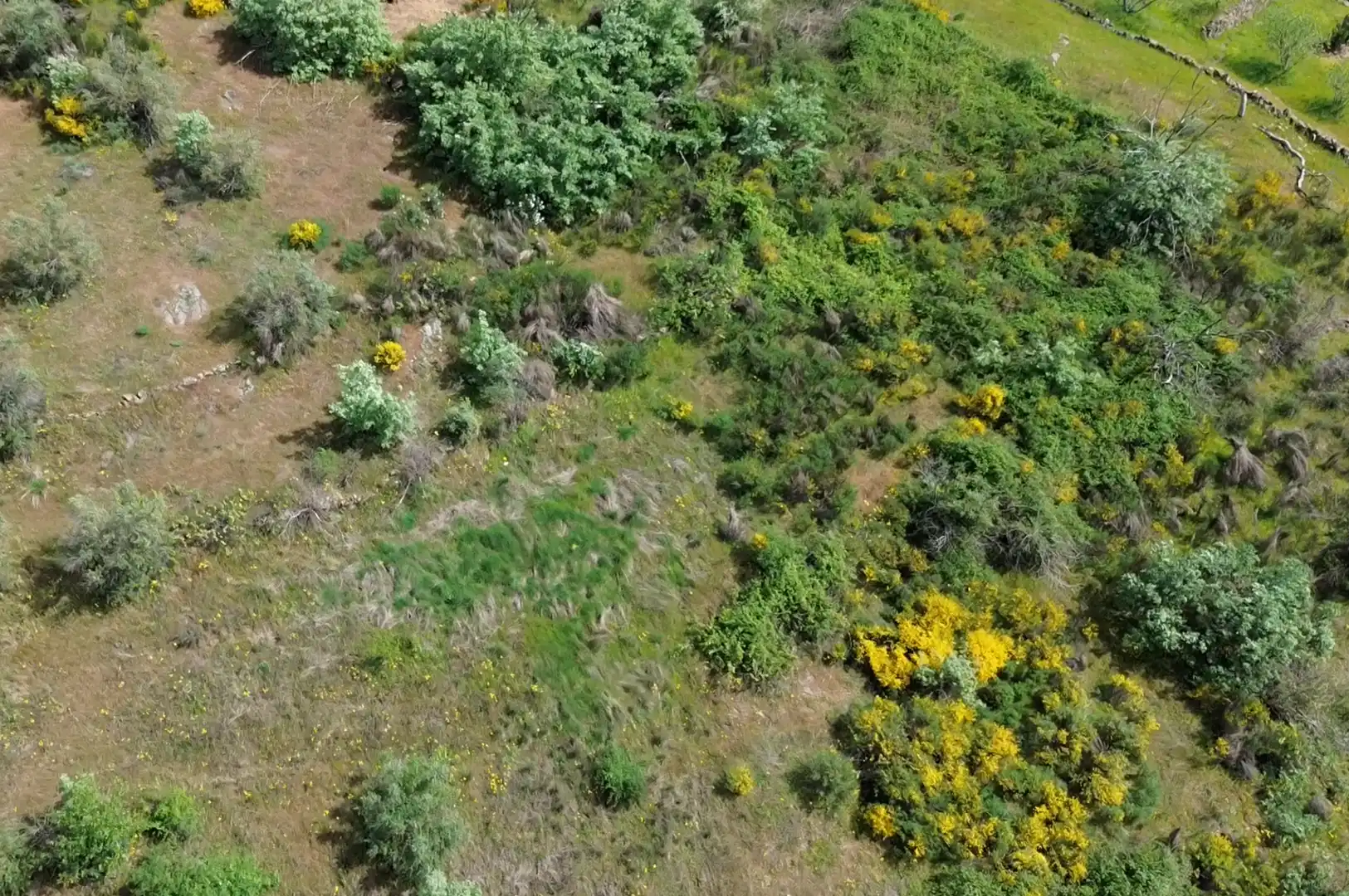 Terreni e lotti in vendita a Viandar de la Vera, imagen 6