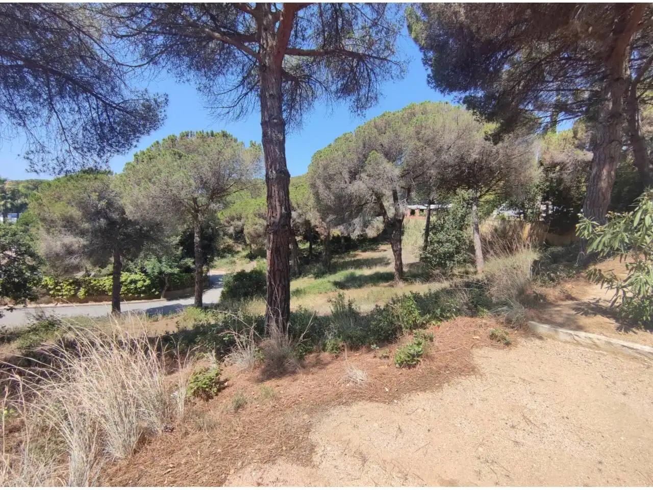Terreno residencial en venta en Calle Tortuga 21, imagen 15