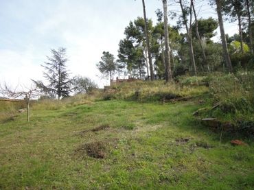 Terreno residenziale in vendita a Castellví de Rosanes