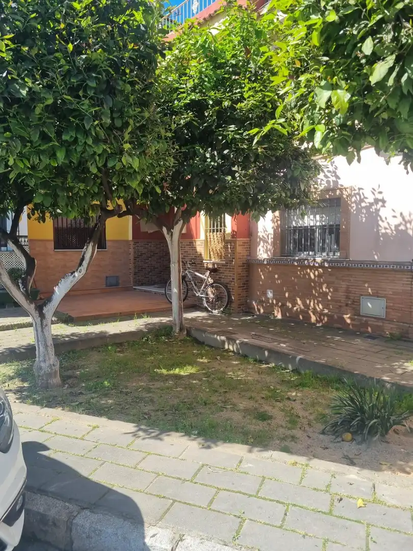 Vista exterior de Casa o chalet en venta en La Algaba con Jardín privado