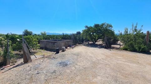 CAMPO DE NAVELINAS EN VENTA, immagine 2