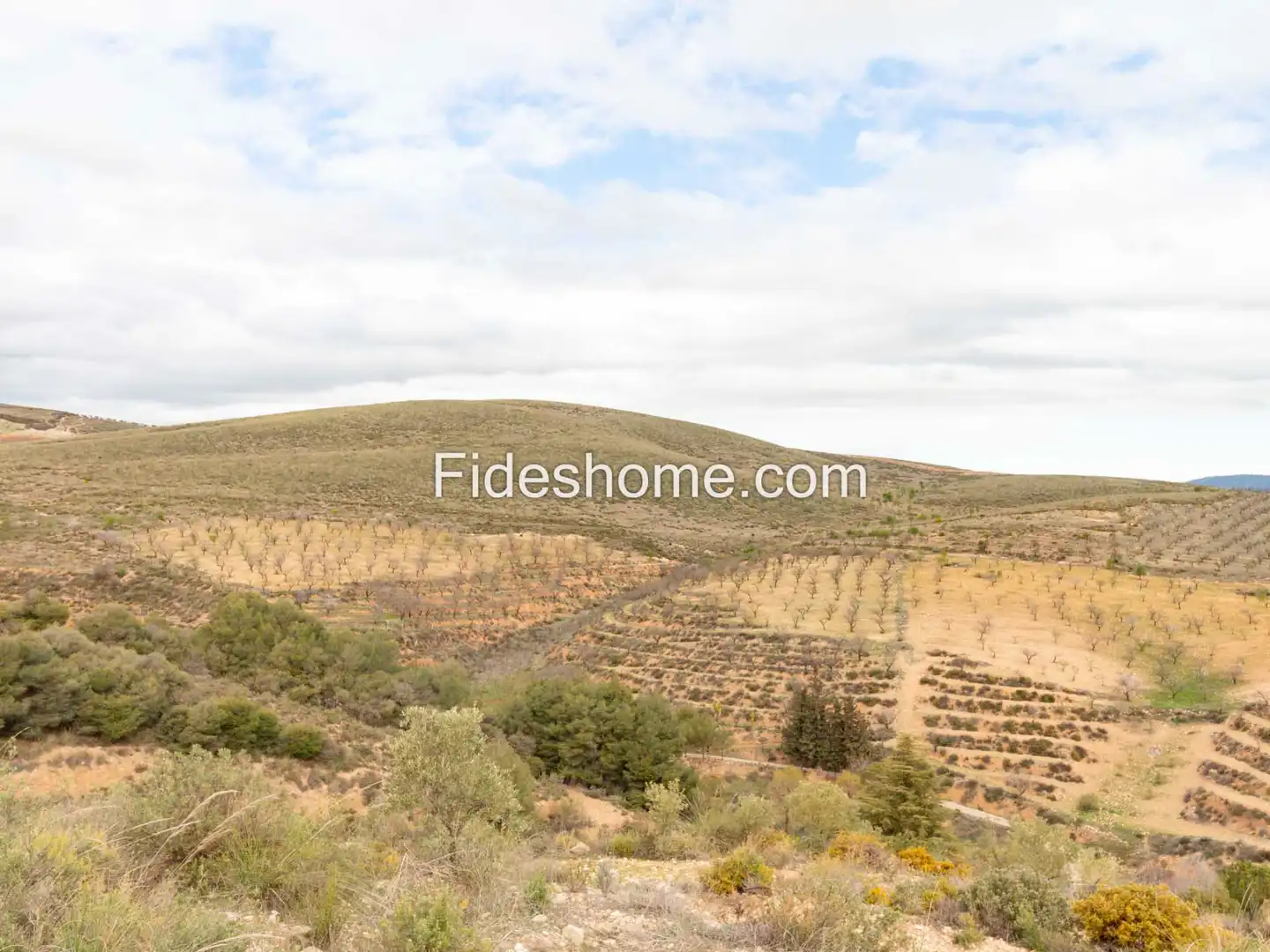 Finca rústica en venda en Villamena amb Jardí privat, Piscina i Moblat