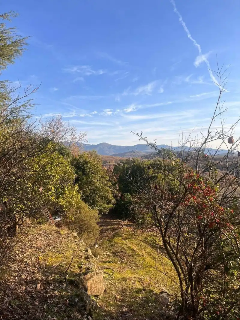 Casa o chalet en venta en Cuacos de Yuste con Piscina