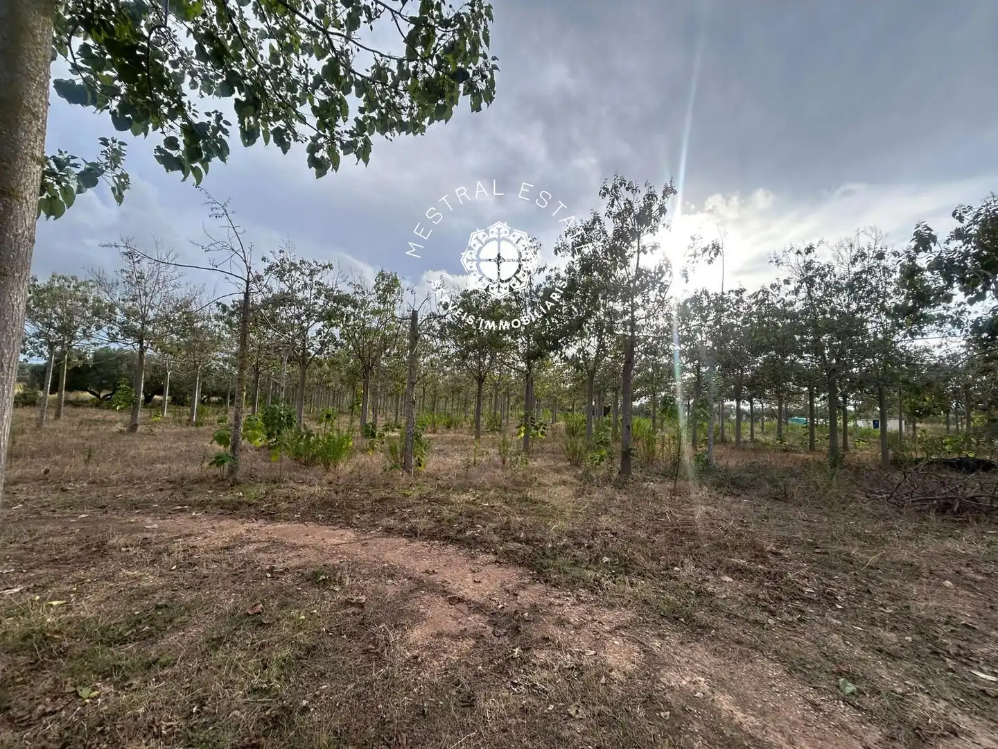 Terreno rustico in vendita a 16, imagen 17