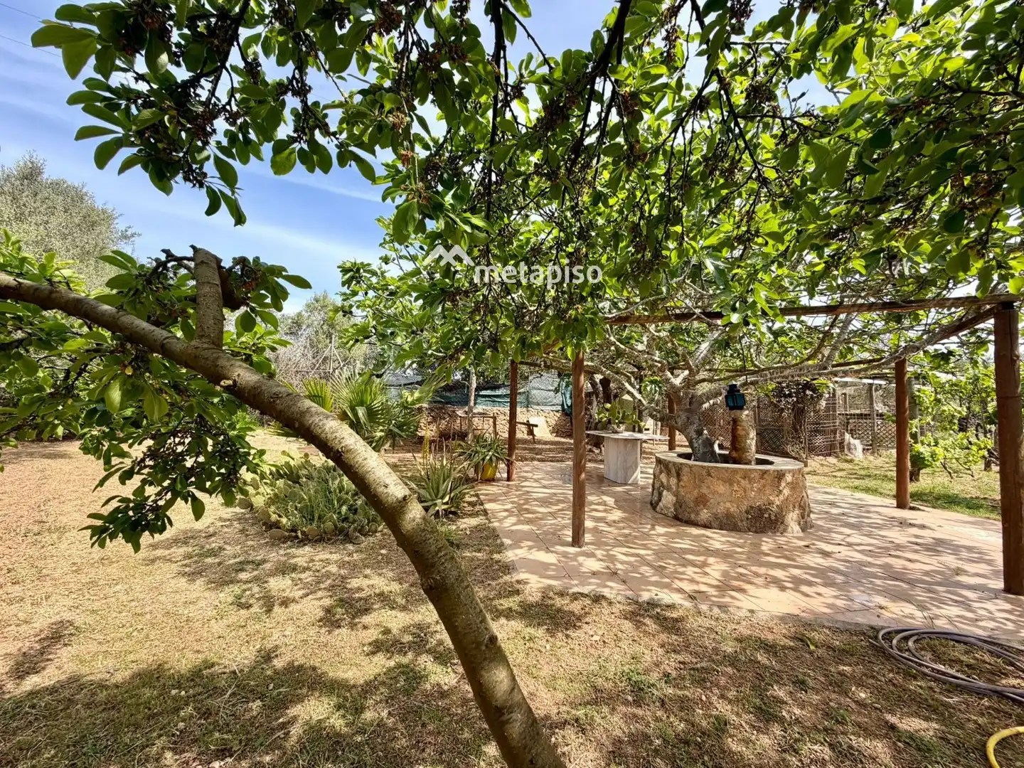 Terreno rustico in vendita a Santa Oliva, imagen 46