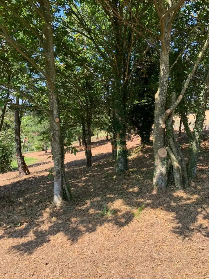 Terreno residencial en venta en Neda, imagen 7