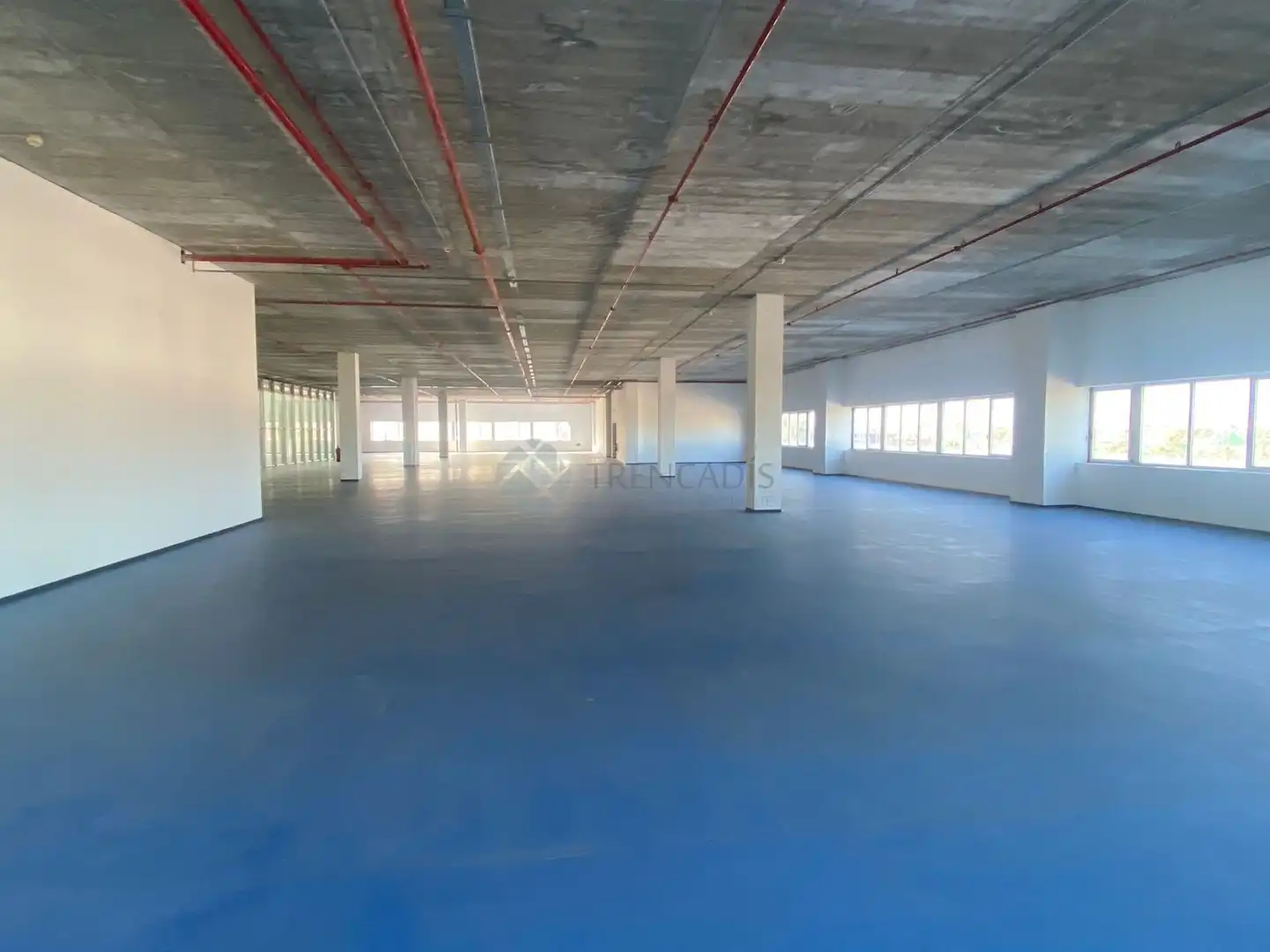 Gewerbefläche zum Verkauf in edificio el mundo, imagen 5