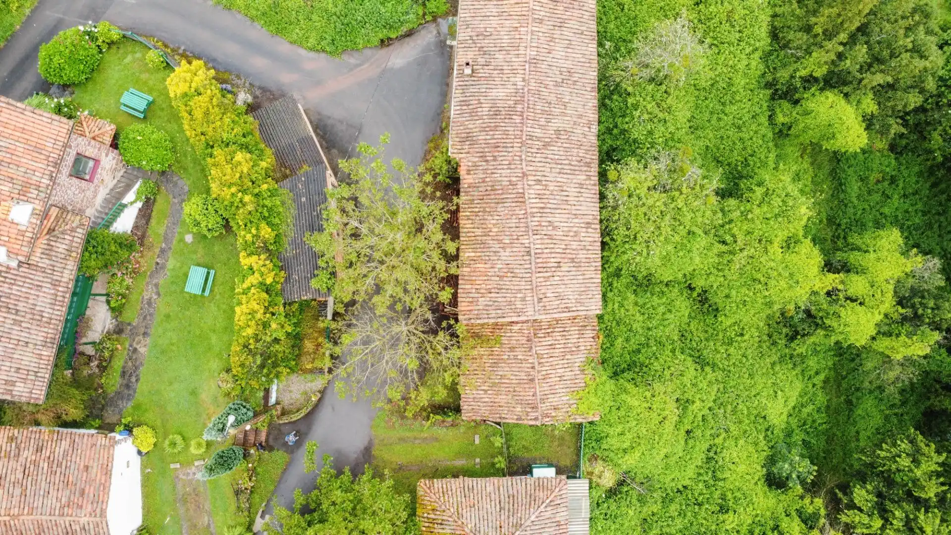 Garden of Houses for sale in Villaviciosa