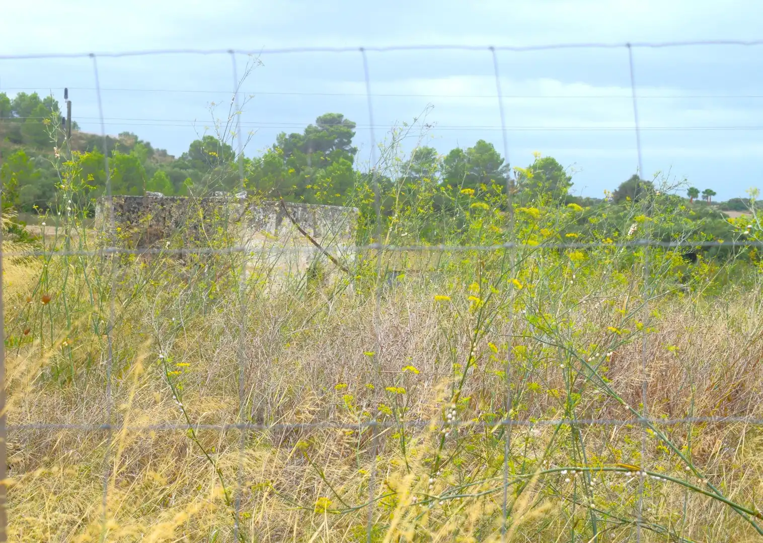 Residential land for sale in Santa Margalida Poble, imagen 21