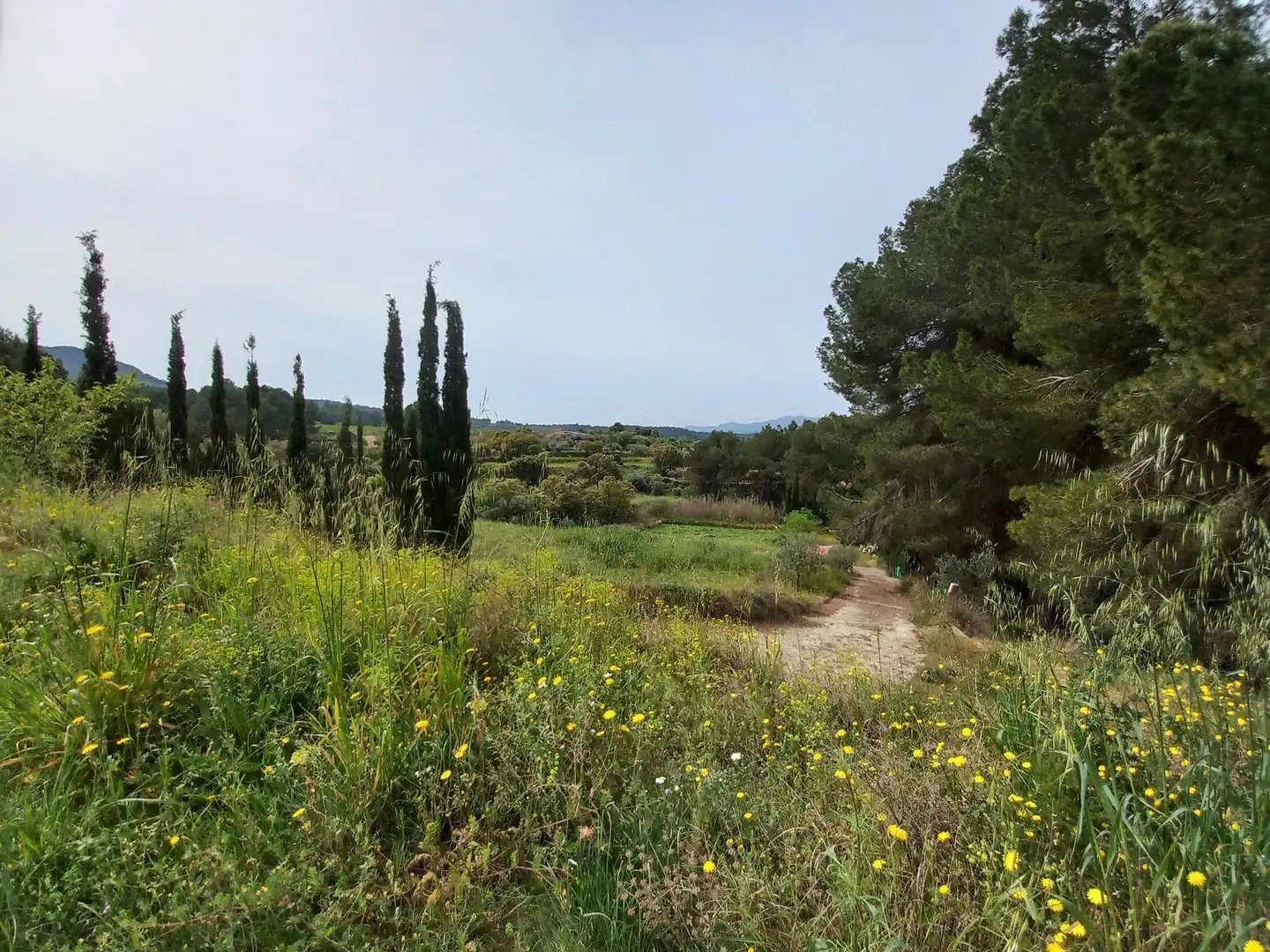 Terrain rustique à vendre à Ginestar, imagen 33