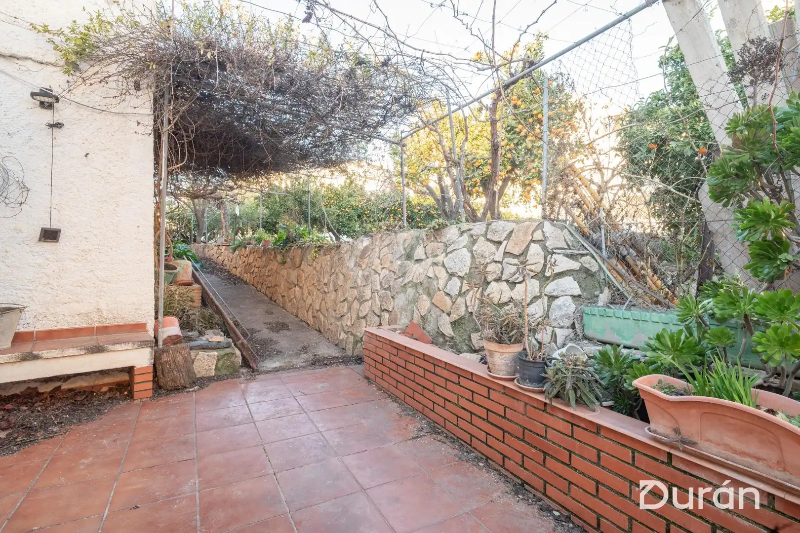 Jardí de Finca rústica en venda en Alcolea amb Aire condicionat, Jardí privat i Traster