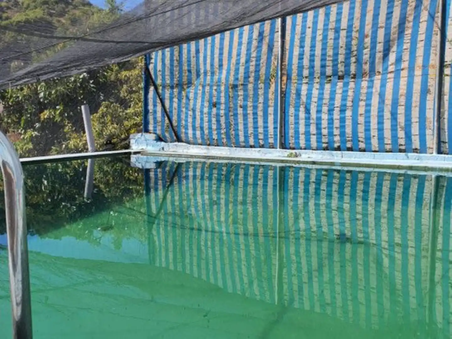 Swimming pool of Country homes for sale in Yunquera  with Terrace, Storage room and Swimming Pool