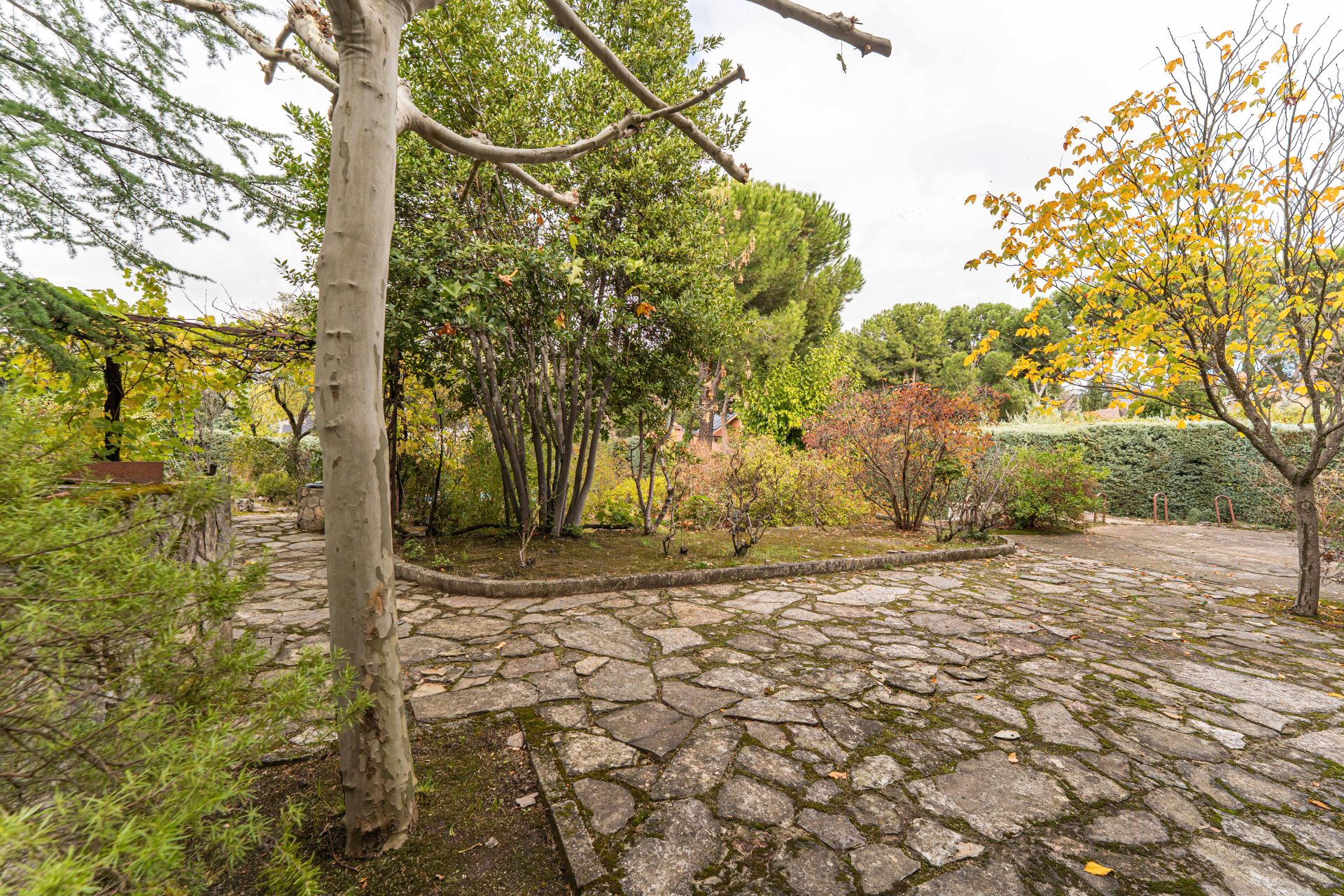 Jardí de Casa o xalet en venda en Boadilla del Monte amb Calefacció, Jardí privat i Piscina