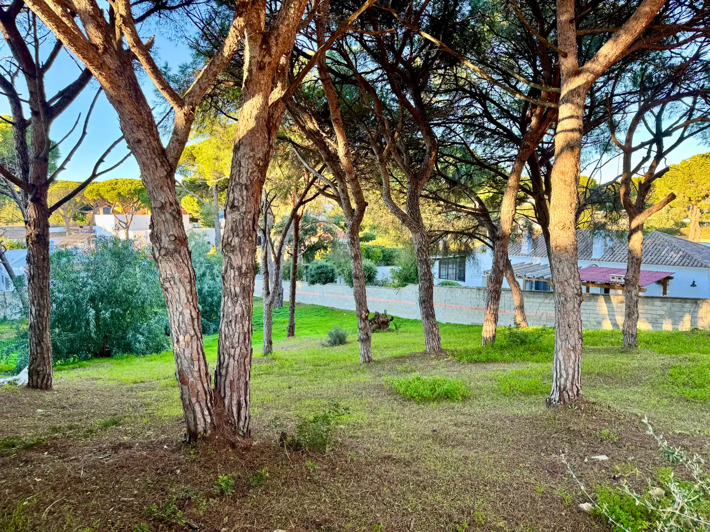 Terreni e lotti in vendita a Los Franceses – La Vega, imagen 2