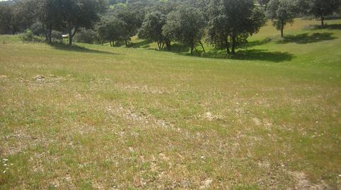 Photo 5 of Country house for sale in Nuño Gómez, Toledo