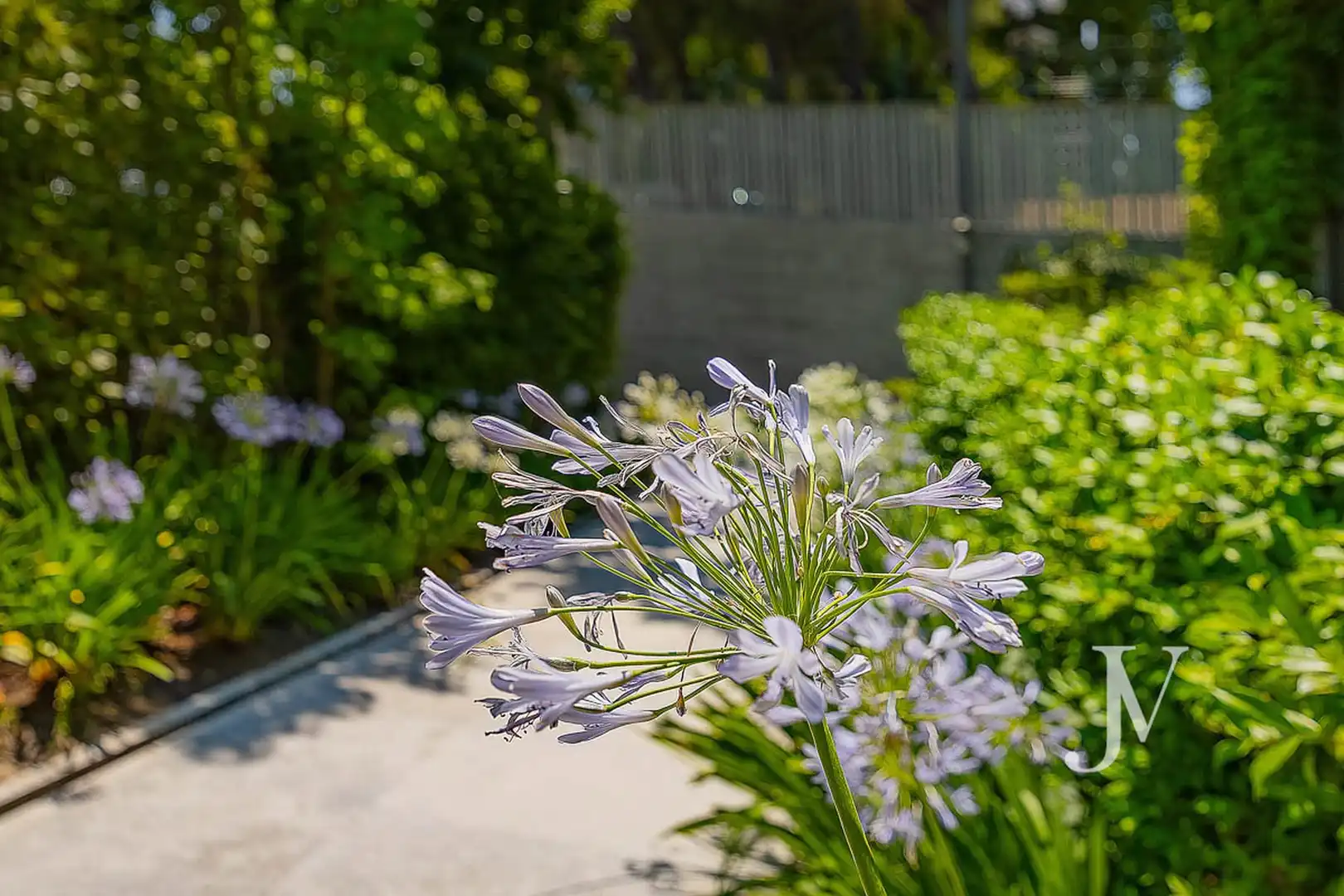 Jardín de Casa o chalet en venta en Madrid con Aire acondicionado, Calefacción y Jardín privado