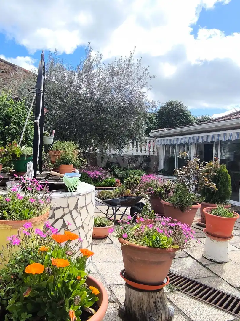 Jardí de Casa o xalet en venda en Colmenar de Oreja amb Aire condicionat, Calefacció i Terrassa