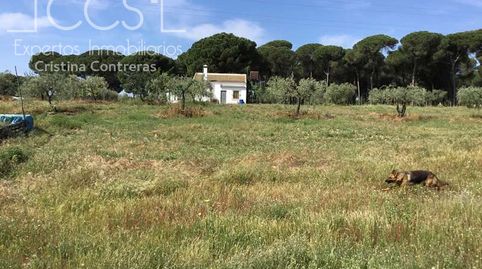 Photo 3 of Country homes for sale in Almonte ciudad, Almonte